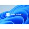 Windows 11 Update ohne TPM