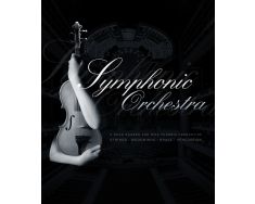 EastWest Symphonic Orchestra Platinum-1