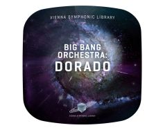 VSL Big Bang Orchestra Dorado-0