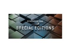 VSL Synchron-ized Special Edition Vol 1 PLUS-0