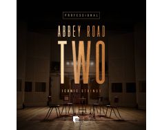 Spitfire Audio Abbey Road Two Iconic Strings Professional-0