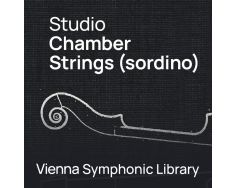 VSL Studio Chamber Strings sordino Full-0