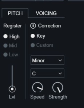 vocalsynth2-bild2